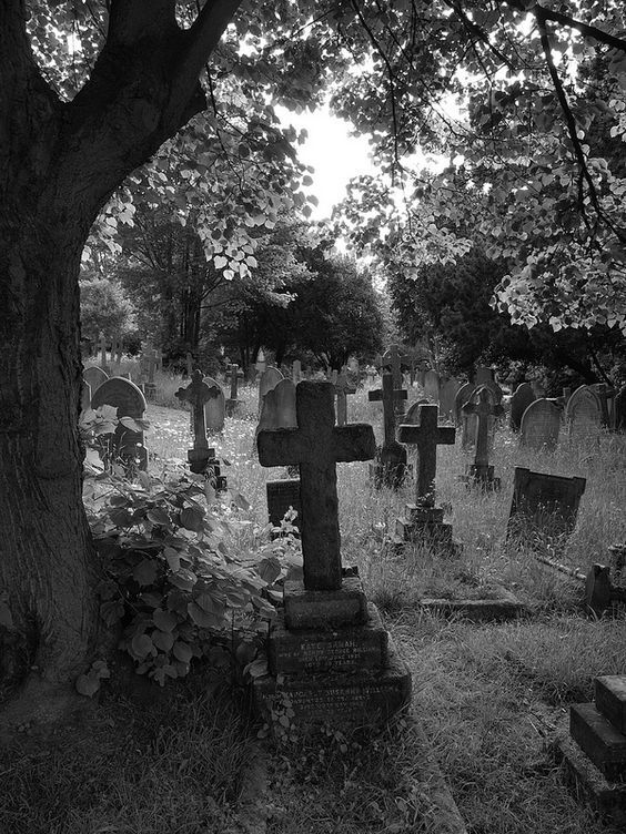 Carlos Venegas On Twitter En El Cementerio De Las Emociones Hay Un 