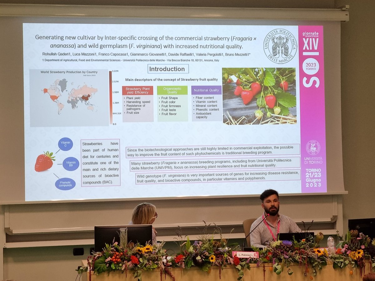 Bruno Mezzetti tweet media