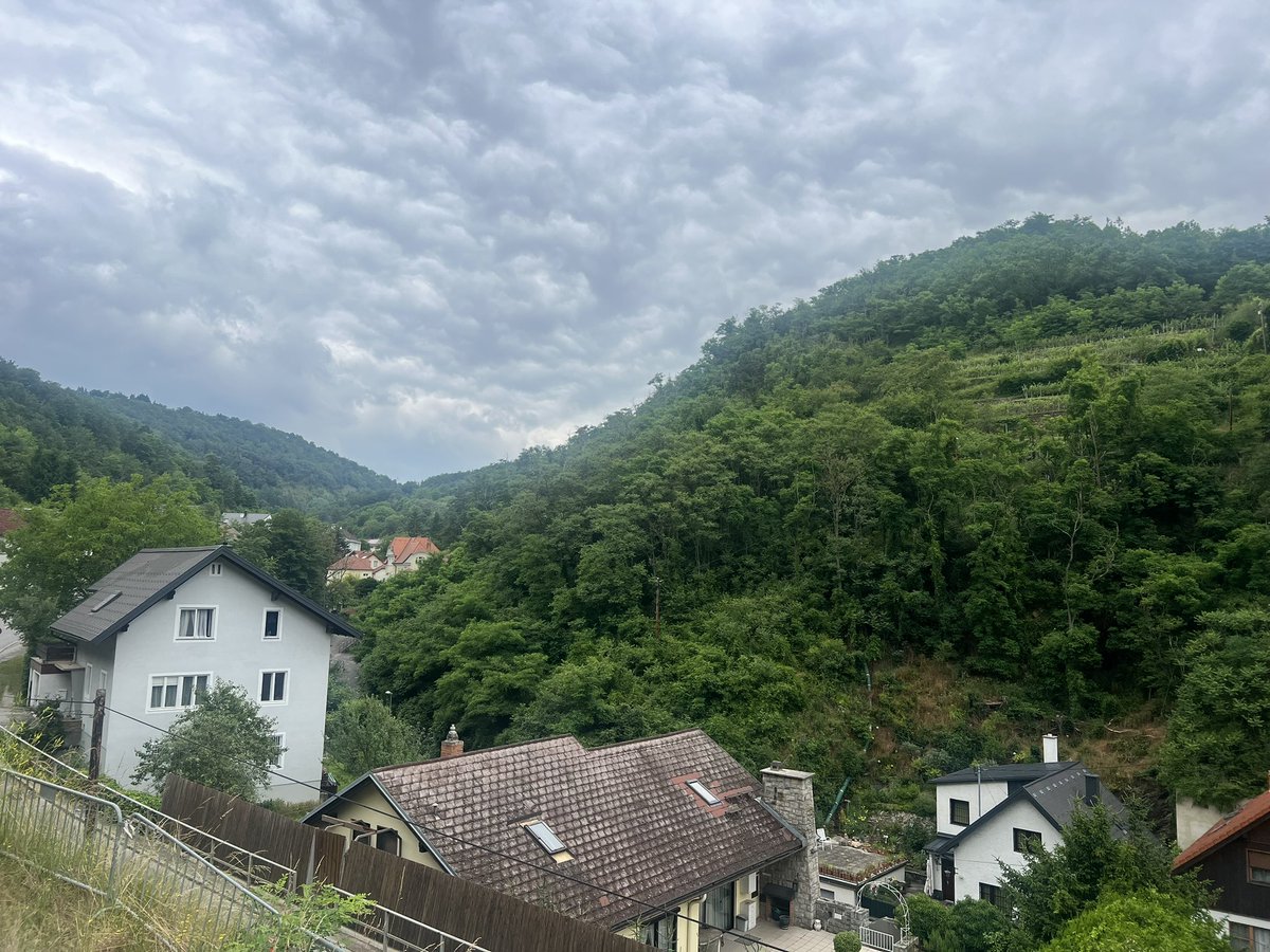 Frank Chaparro tweet media