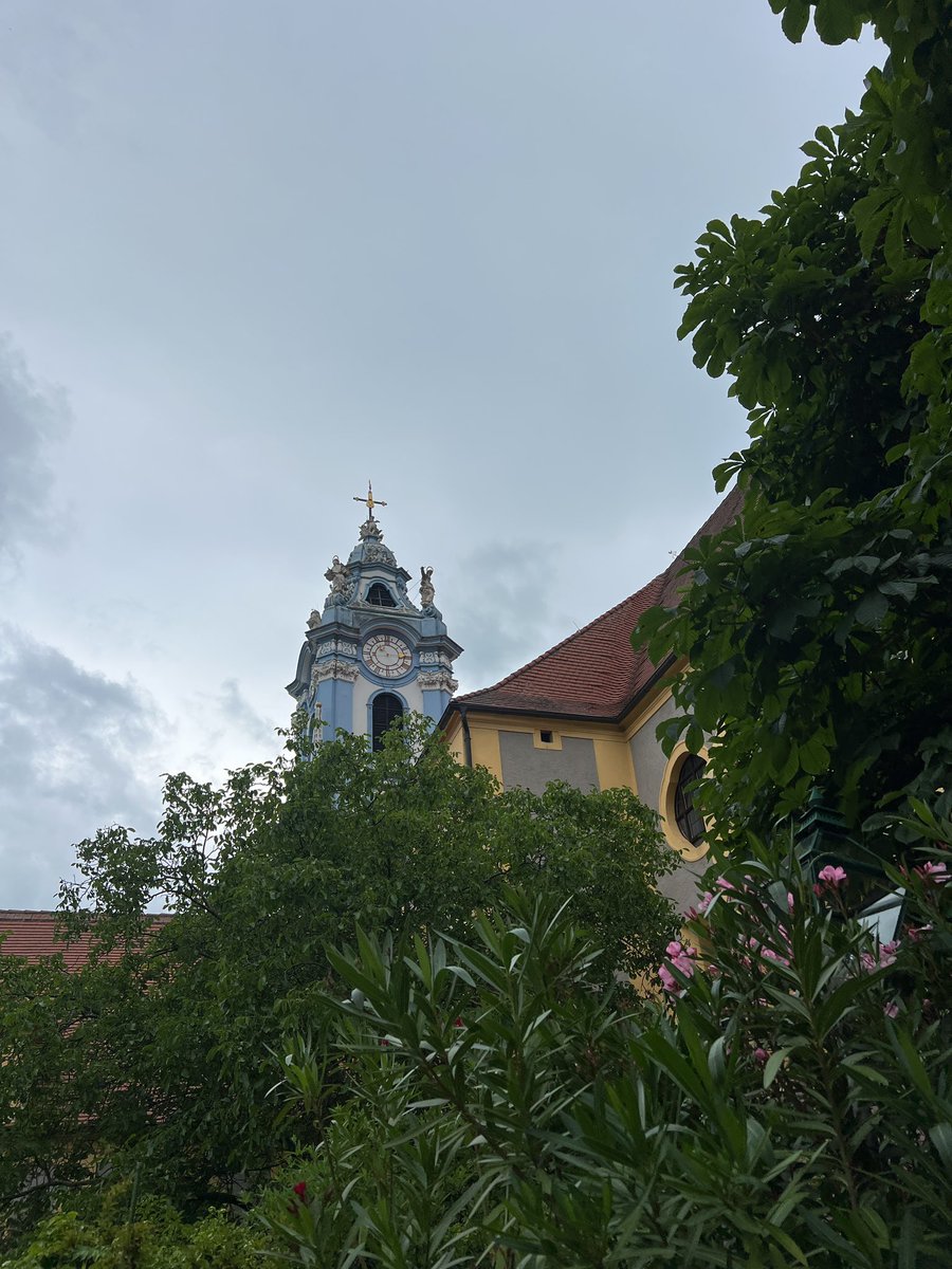 Frank Chaparro tweet media