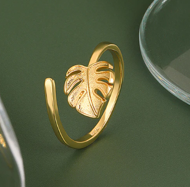 HobbyistPlant's tweet photo. Monstera Ring🌿 https://t.co/a9JwMkGjyx