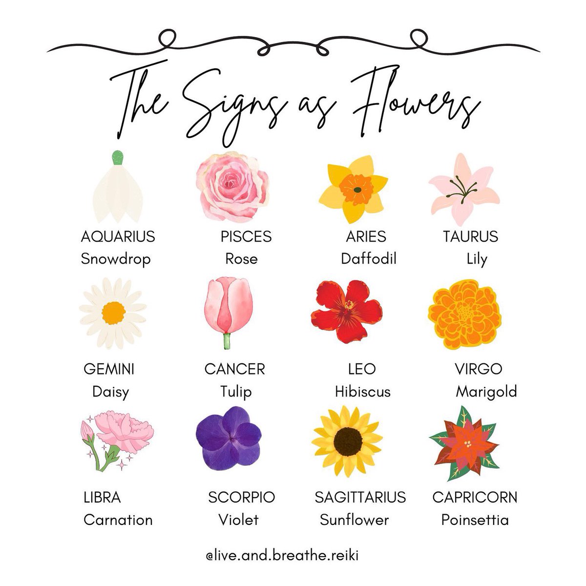 Happy Saturday! Which flower did you get? ❥ Google your flower symbolism and see if you find a message that resonates with you! 🌸

#thesignsas #thesigns #horoscopememes #reikimaster #spiritualjourneys #reikimasterteacher #cosmicconsciousness #SaturdayMorning #theuniverseinme