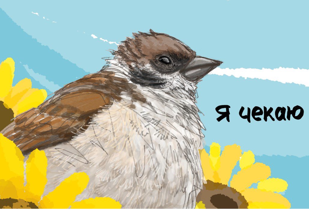 SunflowerFromJ2's tweet photo. https://t.co/6t2qSDKps9