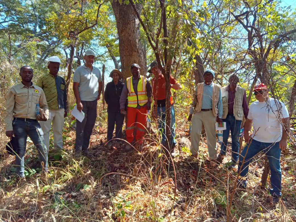 The rock outcrop between the mine engineer in the orange shirt & geologist in the turquoise shirt is high grade sulphide #copper ore! #thewinningteam #Africa #African #DRC #DRCongo #cobalt #metals #mining #CRTM