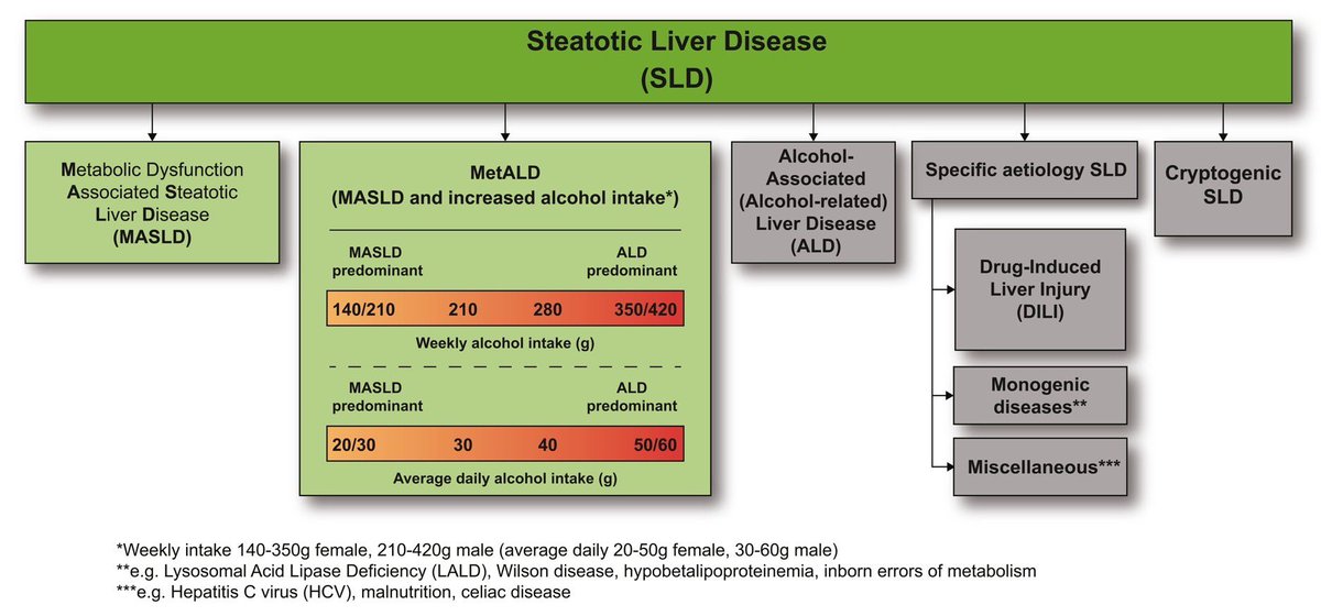 The new name of #NAFLD 😇

🗣️ MASLD
🍺🍩 MetALD
🍺 ALD
👤 specific etiology SLD
🧩 cryptogenic SLD

#EASLCongress #LiverTwitter @EASLnews @EASLedu @AASLDtweets