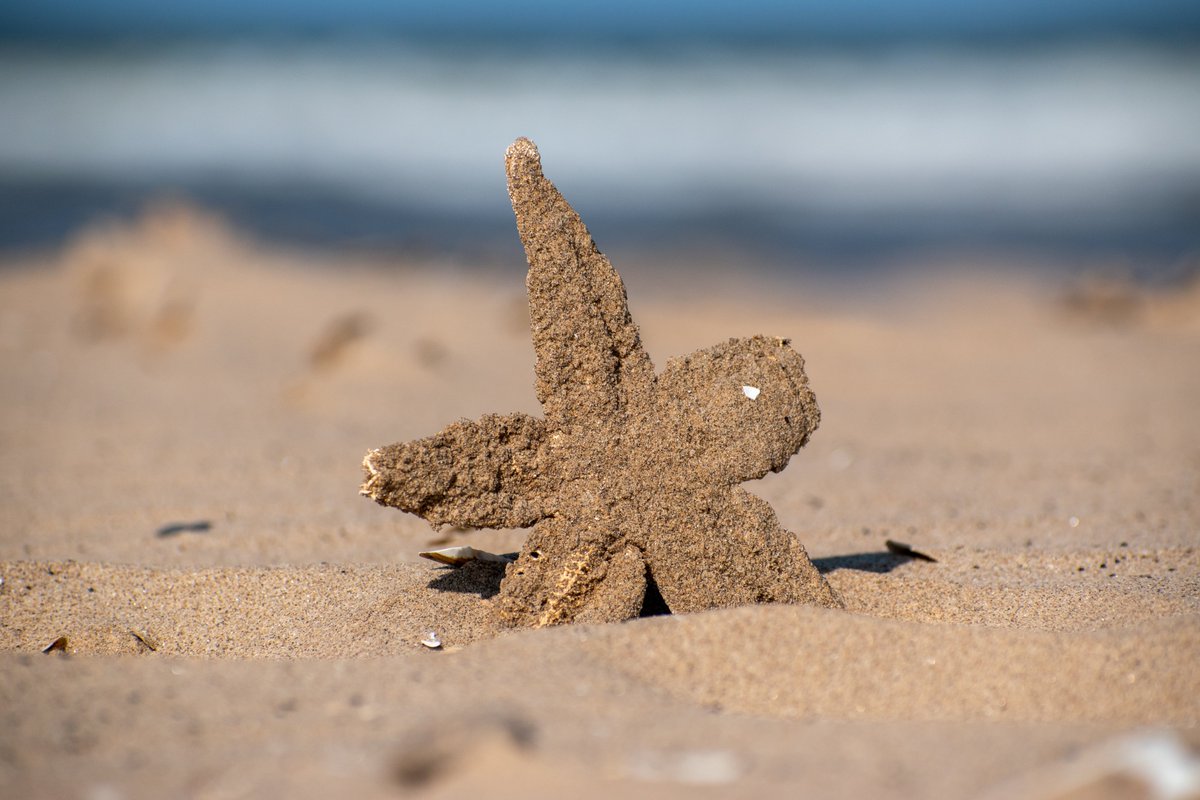 Mablethorpe Online tweet media