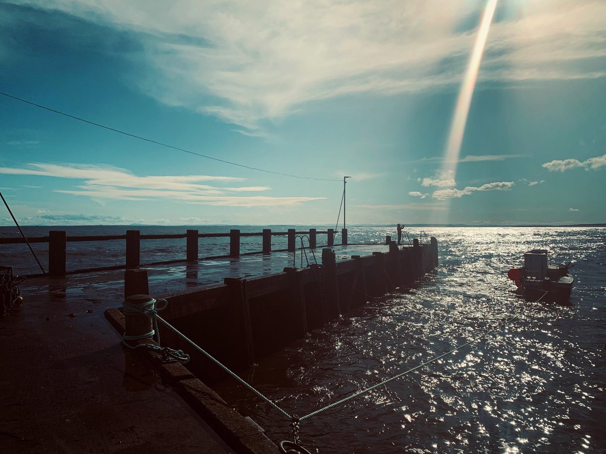 Golspie Pier, Scotland 🏴󠁧󠁢󠁳󠁣󠁴󠁿 
.
@VisitScotland #scotland #golspie #sunbeam