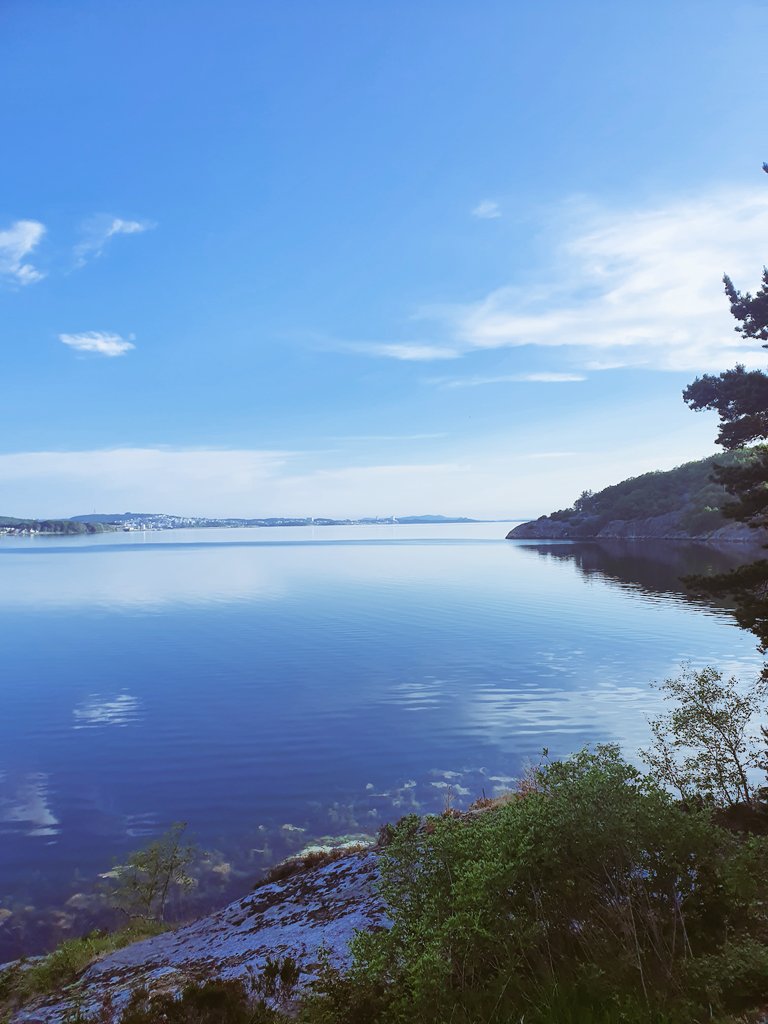 Trond Ingebretsen tweet media