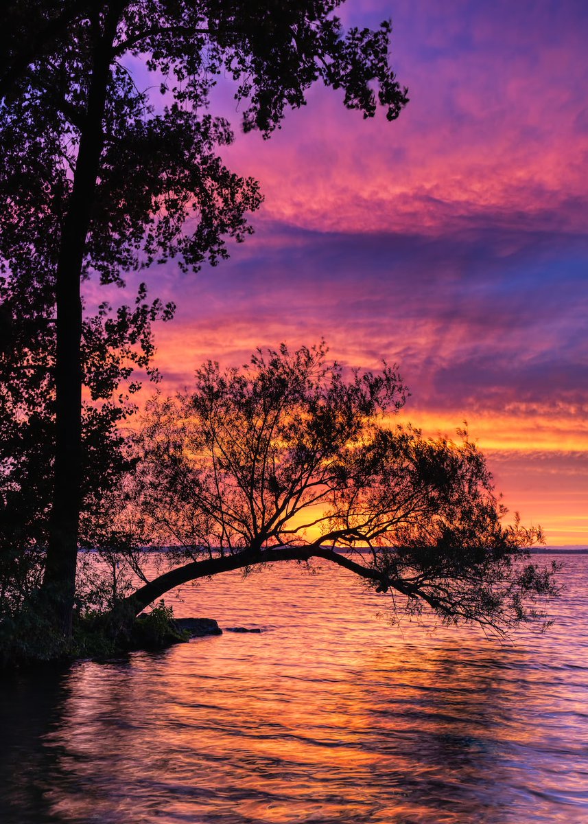 emily_anna1995's tweet photo. Beautiful! 
#nature #NaturePhotography https://t.co/Qa3MZporD8