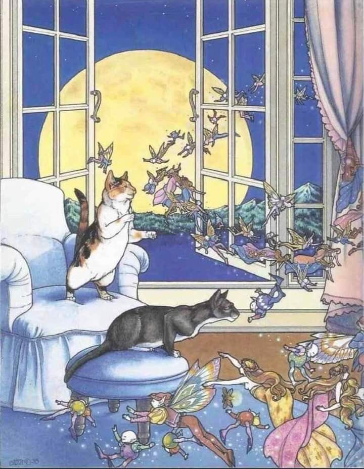 Happy #Caturday #InternationalFairyDay 

Art by Alicia Austin