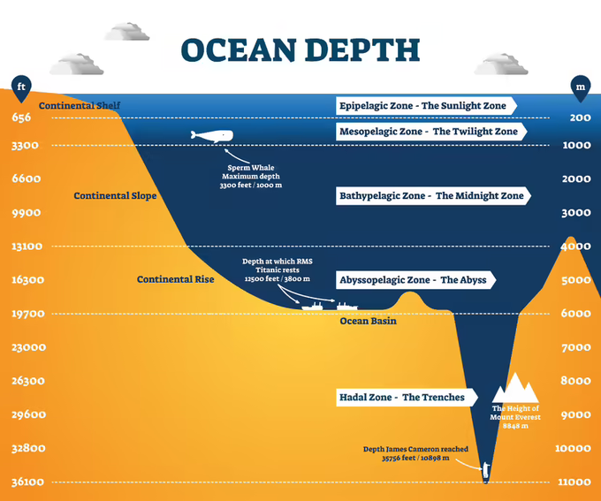 https://science.howstuffworks.com/environmental/earth/oceanography/how-deep-is-ocean.htm