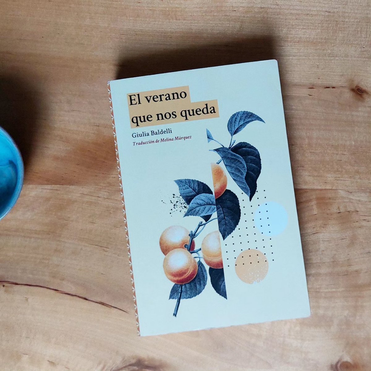 jauvaler's tweet photo. 'Sin decirle que, si echar de menos al ser amado es esa ausencia que se alimenta de todo y que no devuelve nada, entonces, también yo la echo infinitamente de menos'
#ElVeranoQueNosQueda de Giulia Baldelli #libros #ymáslibros #LEstateCheResta https://t.co/9Am7Pc9TNm