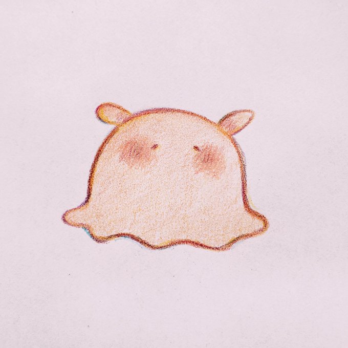めんだこ
