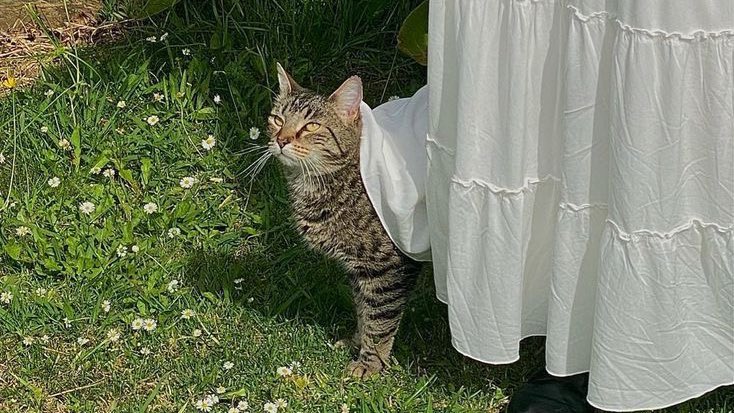 ͏͏͏͏͏͏͏͏͏͏͏͏ 

2023年06月24日
on vacation mode. 🍃