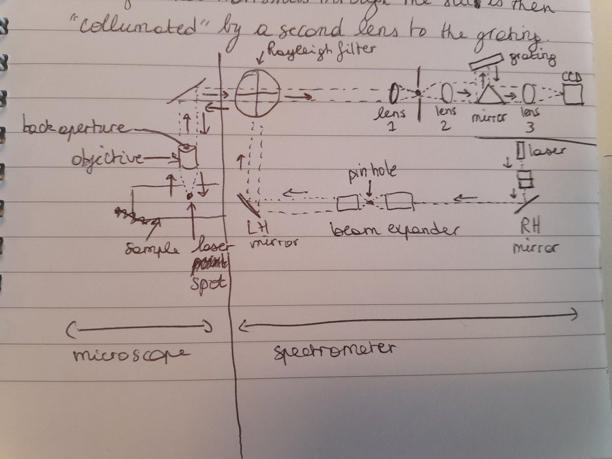 Laura Fantuzzi tweet media