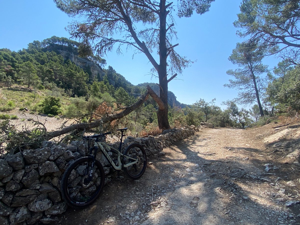 3404metros's tweet image. Los efectos de la nevada Juliette que tuvimos este invierno en la #serratramuntana son bien visibles