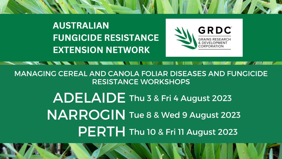 Coming in August! #AFREN cereal &amp; canola foliar disease &amp; fungicide resistance workshops in #Adelaide, #Perth &amp; #Narrogin. Places are limited - book early to secure your spot. These build on previous highly successful AFREN workshops. <a href="/theCCDM/">CCDM</a> Details: bit.ly/46gDhpE