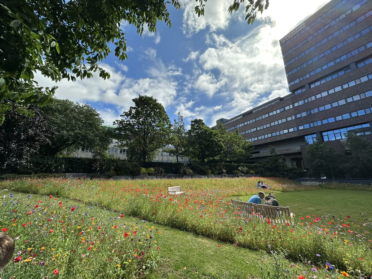 KeithH1975's tweet photo. What a lovely little space hidden in the centre of Newcastle @UniofNewcastle #openday https://t.co/OrfKyprrFz