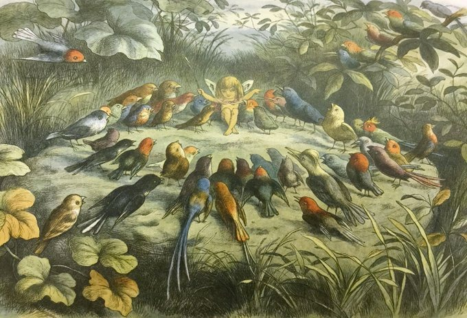 It's #InternationalFairyDay 
Have a Fairy wonderful Saturday with your friends!
One of our gorgeous #books from #museum of #childhood #reading #fairy #illustration #art #fairytale