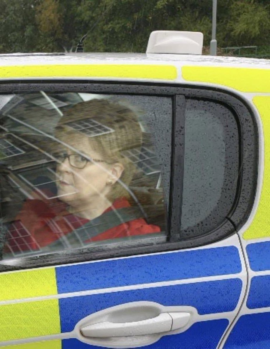 xxjxmxechxpmxn's tweet image. I do not understand flies. Girlie you have access to planet Earth with your wings why are you terrorising my 4 bed semi?? Go outside doll!