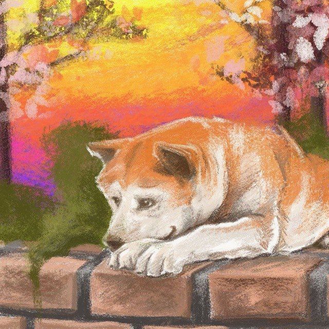DamianMuncey's tweet photo. @RealHachiToken @Faber45one #HACHI #realhachi https://t.co/icugWg8lDJ