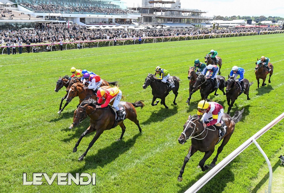 MagnumParkFarm's tweet photo. 🏇🚨 WIN a Service Fee for LEVENDI! 🚨🏇
Head to the website NOW and enter for your chance to win. 👉 https://t.co/AMI82BJ1rK 👈
Winner to be announced on Sunday 2nd July.
📲 Like, comment, share! Spread the word! 💻
#win #thoroughbred #stallion #levendi #servicefee https://t.co/XarPdQUIrE