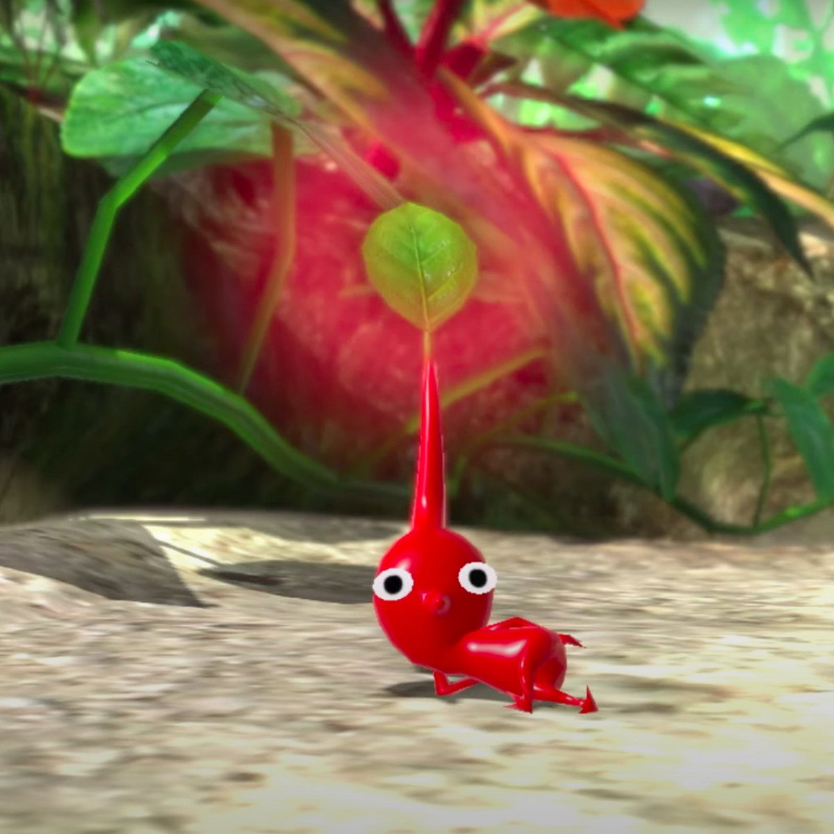 QuentinPicksMen's tweet image. this is THE pikmin pose