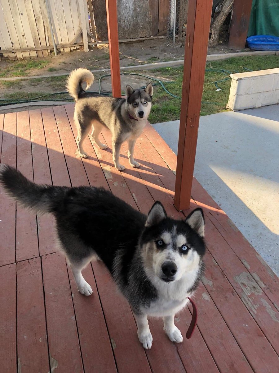 TheRealDaylnRay's tweet photo. Because I need another pic of my dawg on here💪🏾. (His BM in the background) https://t.co/KqQKlWgQXj