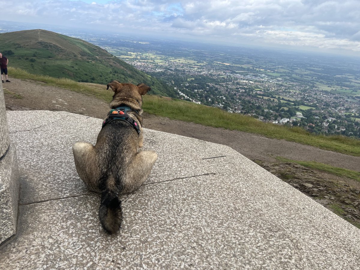 JosieAllan4's tweet photo. Magic indeed. Summer 🌱🎉gods settling in with splendid warmth.
#magichill #magicskies #rescue #Zebedee #Malvern https://t.co/tHA8OnMEBH