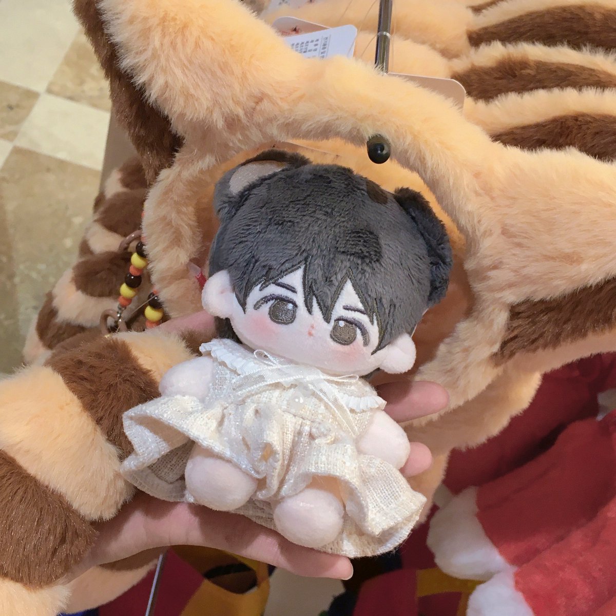 playball_b's tweet photo. 너구리와 고양이 https://t.co/Pk19lyu69A