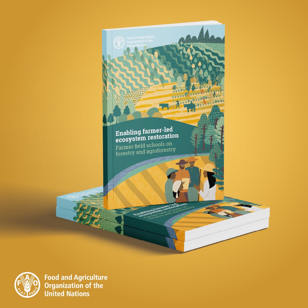 FAO Forestry tweet media
