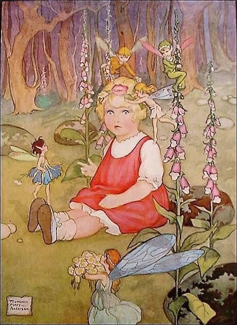 I brushed past fern and tree ...towards the cottage in the clearing where I watched a little girl surrounded by light and laughter as the fairies threaded flowers through her hair.
~ Hazel Gaynor, The Cottingley Secret
#BookWormSat #fairies