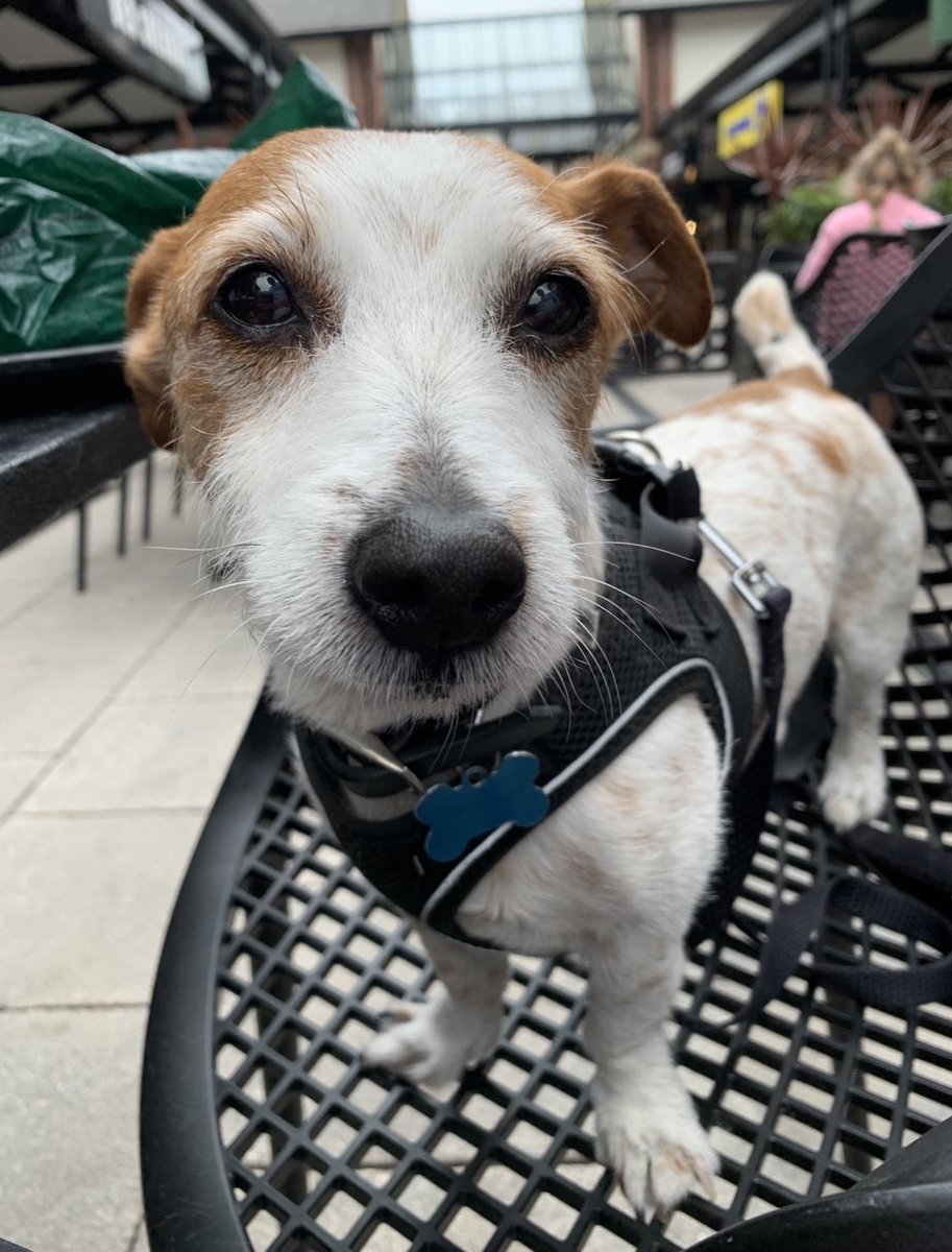 I’m only here for spesh Saturday Treatz <a href="/200Degs/">200 Degrees Coffee</a> #Eddie 🐾