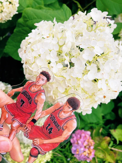 いぬはくさんとさかなさんの3人で京都のお寺で紫陽花を見に行ったり紫陽花パフェを食べたし犬井家たこパしたりめちゃ美味&充実した旅を満喫しました〜いぬはくさん、さかなさん、大感謝です