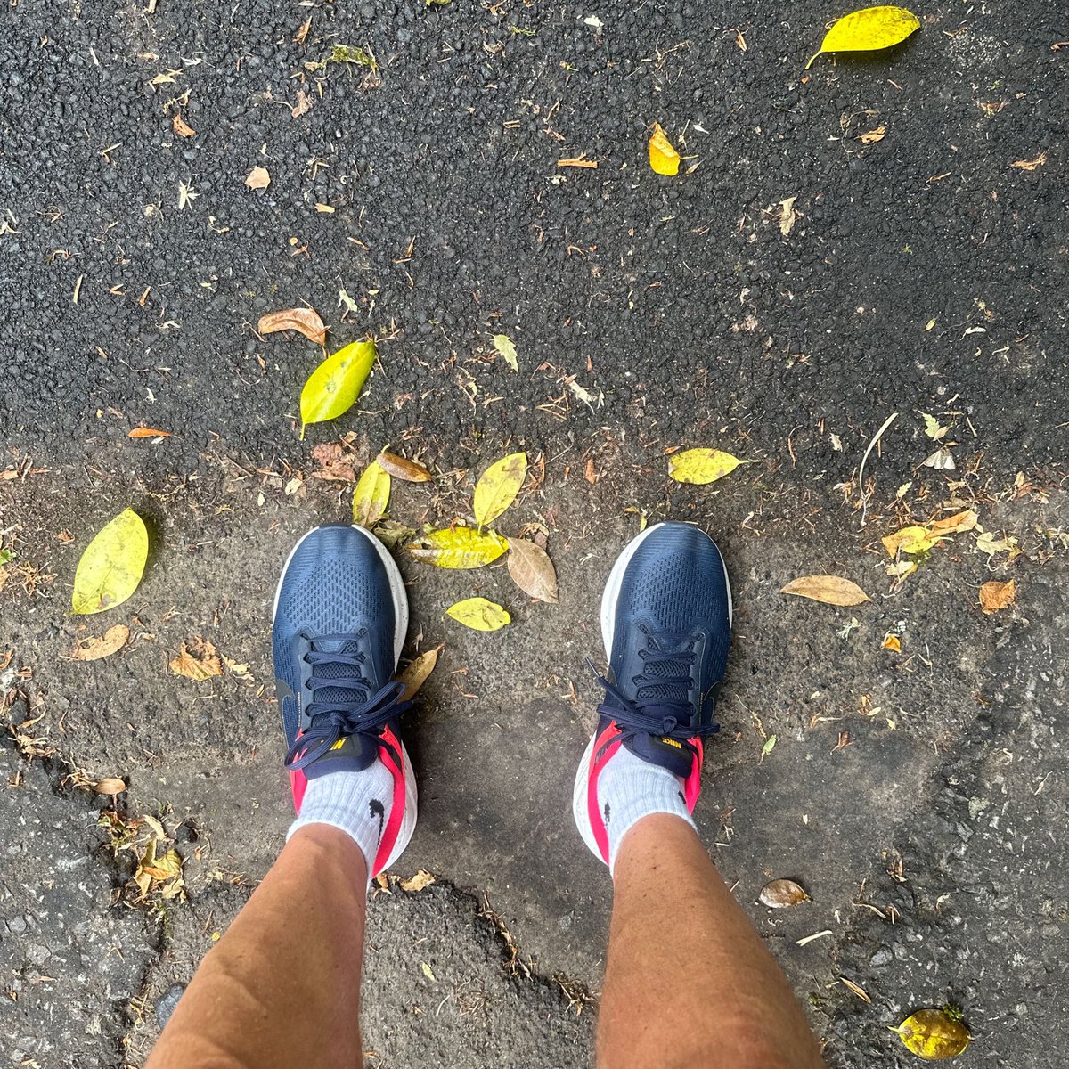 stuartadd's tweet photo. @bennettrun @Nike #6KRun #saturdaymorningrun #everyrunhasapurpose https://t.co/TWvOO4ExhB