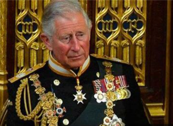 #stolenvalour 
Ever wonder why the Windsors all 'train' as, dress up as, and award themselves unearned senior titles in the military rather than as firefighters, teachers, nurses, scientists, builders or cleaners? 
#fake #kingofcosplay #NotMyKing #royalpropaganda #ArmedForcesDay