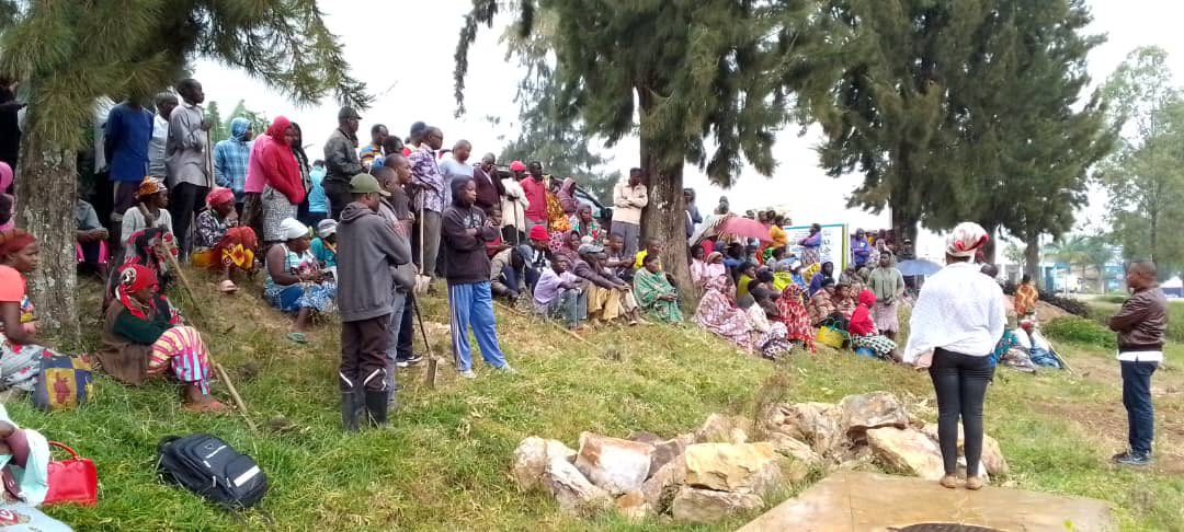 SHYOGWE Sector tweet media