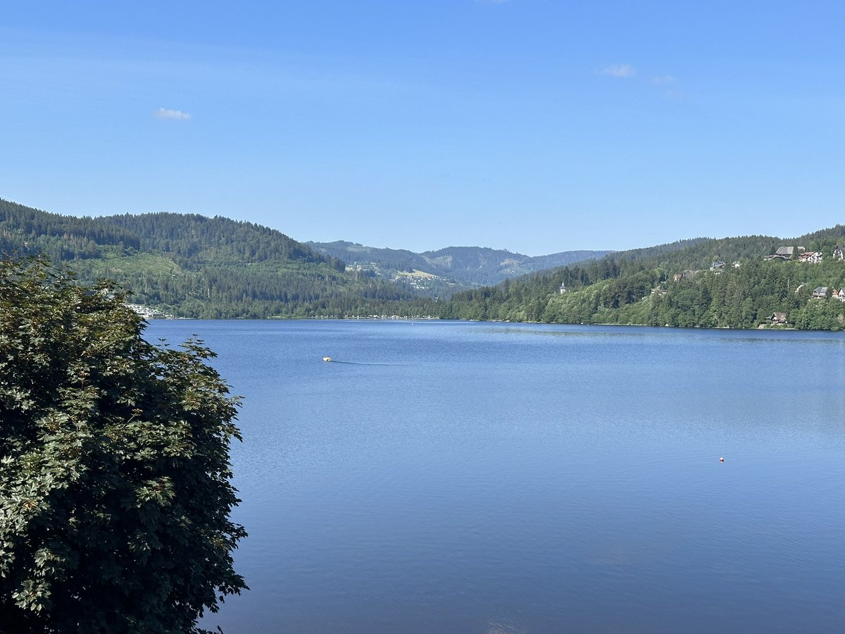 Gertrud wollte unbedingt Tretboot fahren. Sie ist eingenickt und treibt schon seit zwei Stunden auf dem See, da werden wir wohl sechs Euro nachbezahlen müssen.