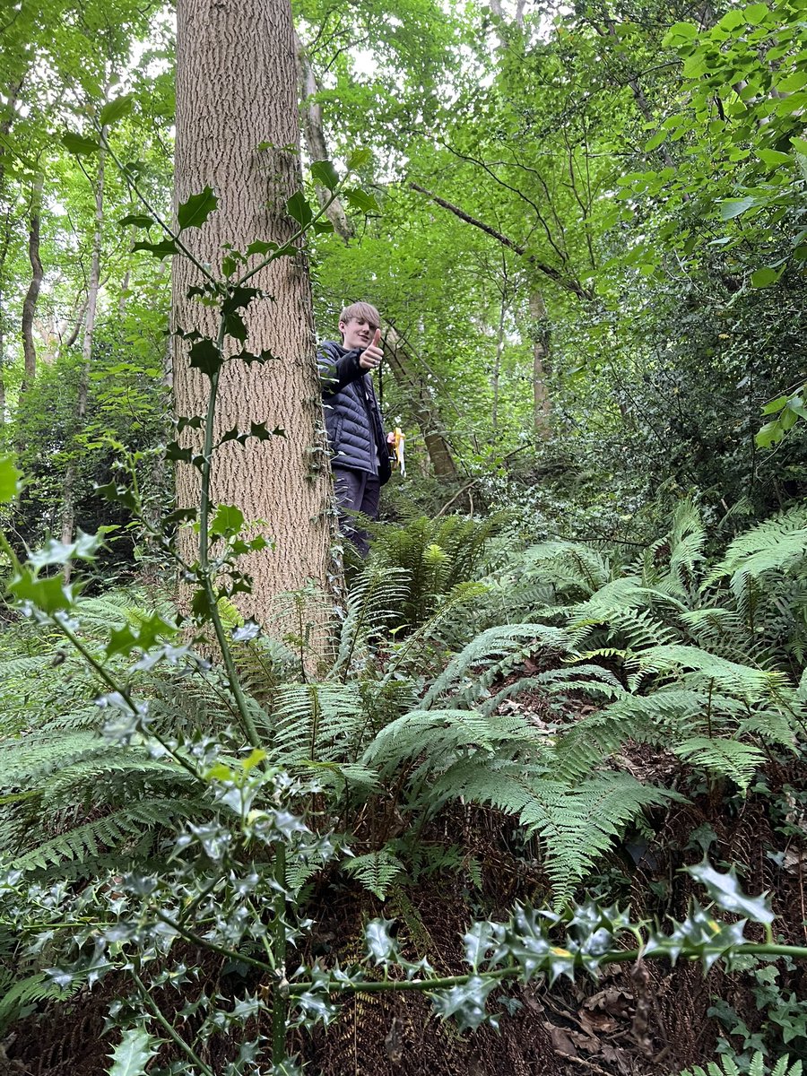 Year 12 fieldwork in Pen-y-Coed wood, Llangollen looking at carbon storage.