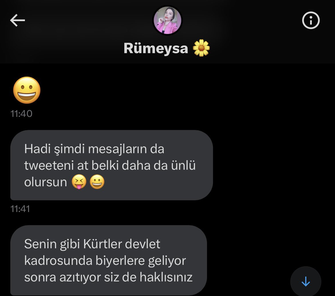 Selam Rümeysa. Mesajına cevap vermediğim için önce bana tipsiz demişsin sonra da ırkçılık yapmışsın. Ben Kürt değilim ama olabilirdim ve çok üzülebilirdim Rümeysa. Gerizekalı Rümeysa.