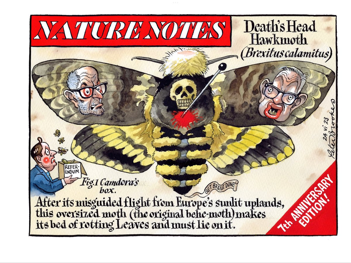 My cartoon Saturday @TheTimes on the 7th Anniversary: Brexit wrecks it. #Brexit #BorisJohnson #DominicCummings #MichaelGove