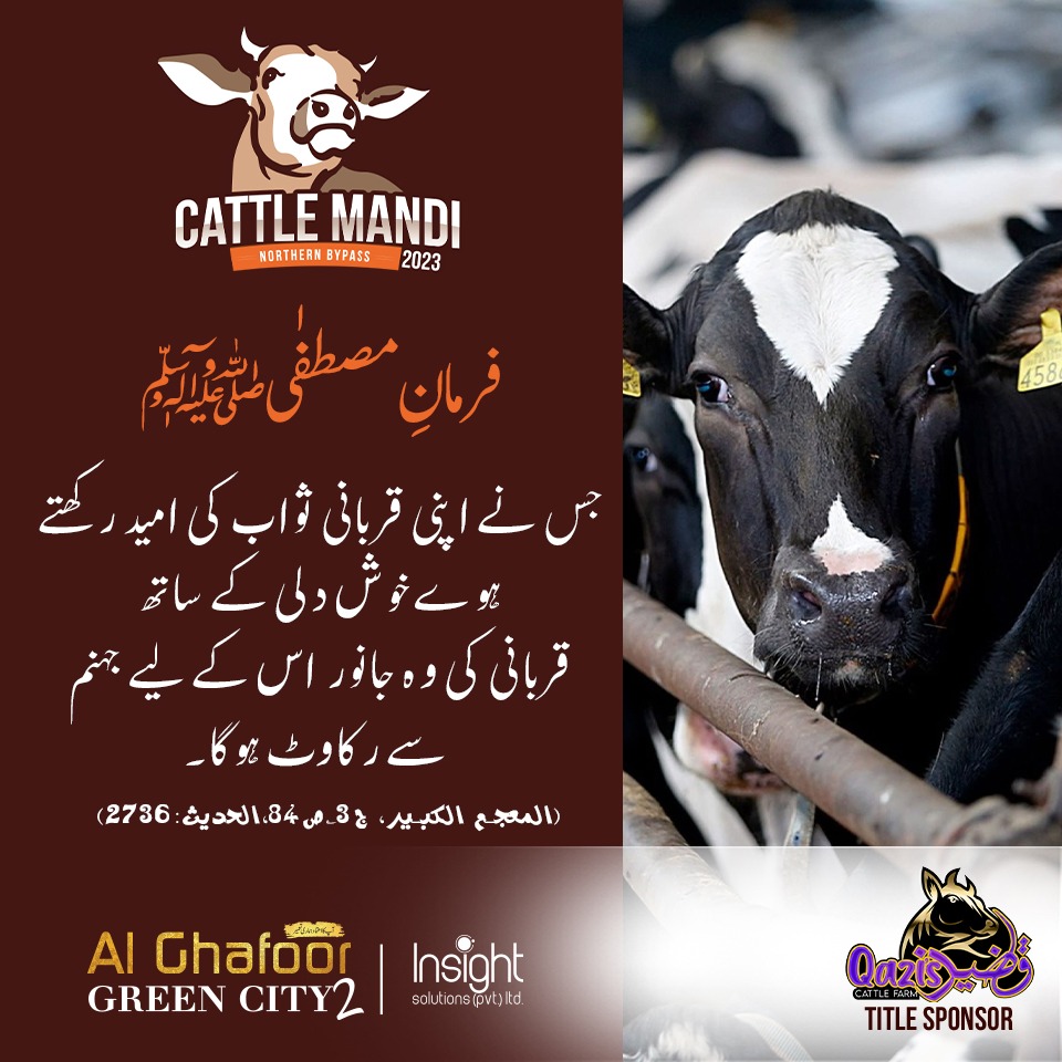 cattlemandi2023's tweet photo. The words of the Holy Prophet Mohammad (PBUH) regarding sacrifice.
.
.
#cattlemandi2023 #qaziscattle #cowlovers #hadithquotes #sacrifice #eiduladha2023 #HolyProphet https://t.co/qCgxrlogxA