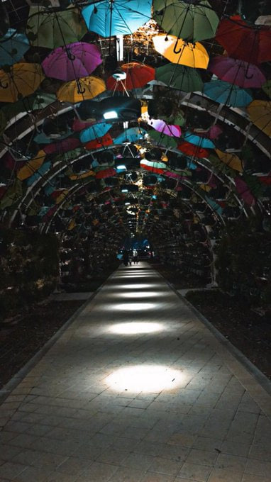 Take risks, embrace challenges, and seize opportunities