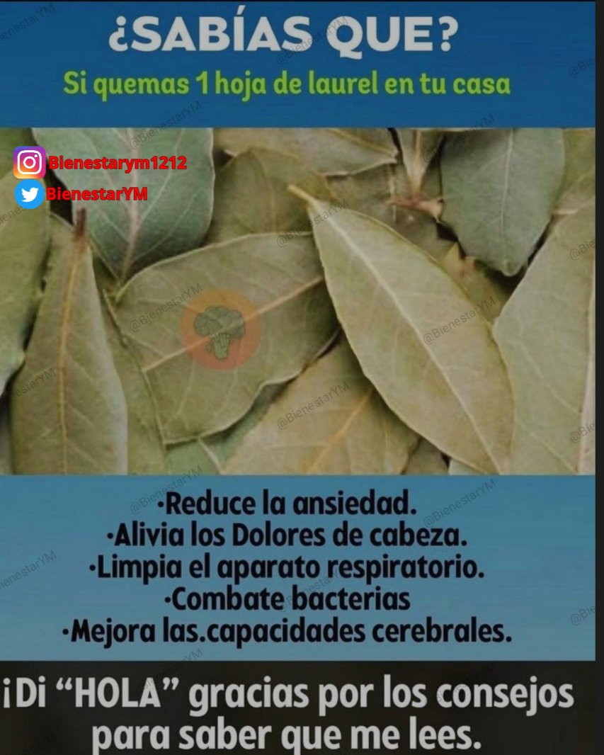 ✨🍉🥥🌱☀️Tip Salud☀️🌱🥥🍉✨

¿Sabías qué?

🌟Gracias por darle al Corazón♥️ y por el Retweet🔄🌟

✨Regálame un Hola si me lees✨