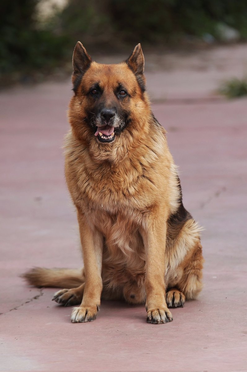 FRAN PÉREZ tweet media