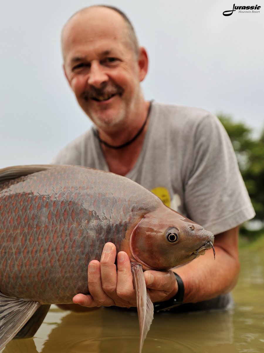 FishJurassic's tweet photo. Eye to eye with a black shark minnow presented by Peter.
https://t.co/lhDzXTwJ02
enquiries@jurassicfishingthailand.com
#JurassicMountainFishingPark #Fish #Carp #BlackSharkMinnow #LabeoChrysophekadion #Fishing #Angling #CarpAngling #PredatorAngling #AnglingAdventure https://t.co/71XwdcUP0l