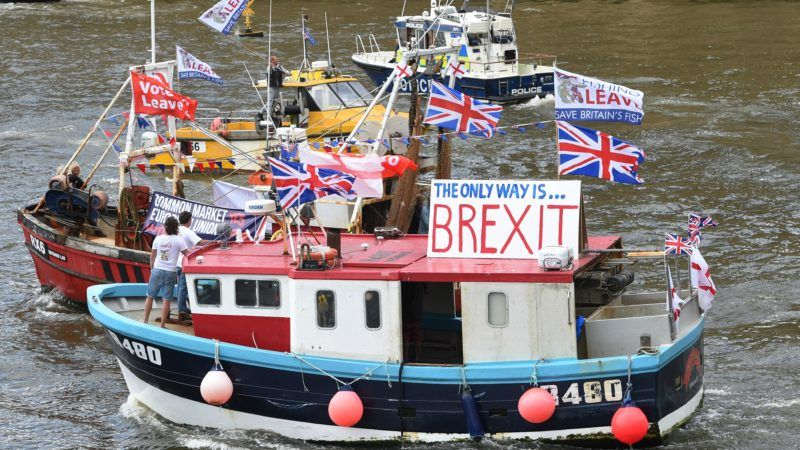 jontay1's tweet photo. @pimlicat @BestForBritain Its what they wanted no? https://t.co/s6zymeTKKY