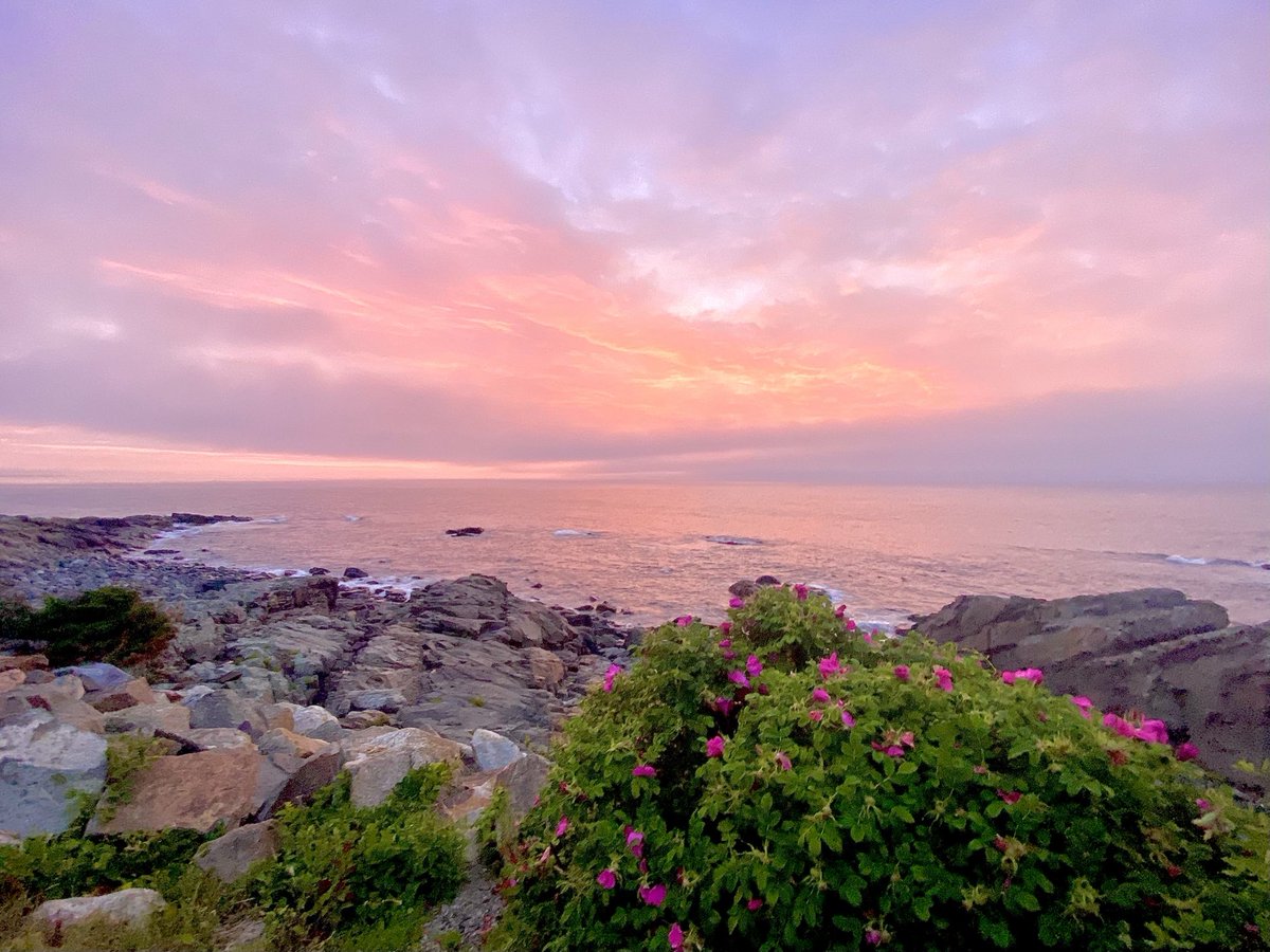 Realtor Rick 💙 on Twitter "Morning glow ogunquit maine sunrise