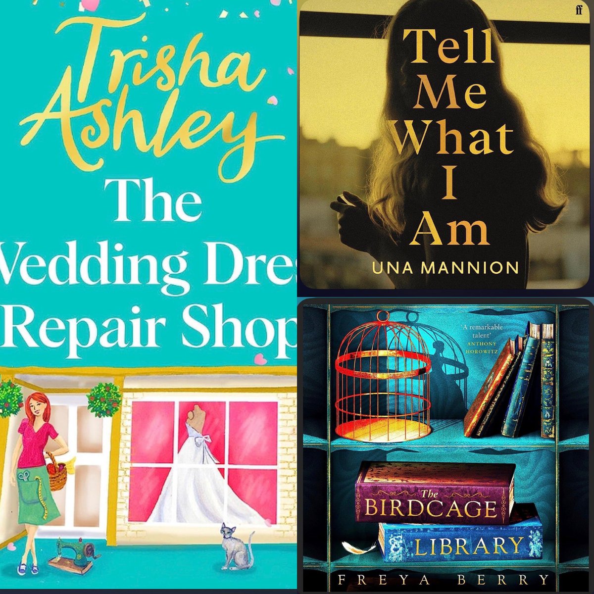 Here are my weekend reads, helping me to survive the heat💖📚🥵
#TheWeddingDressRepairShop by @trishaashley 
#TheBirdcageLibrary @FreyaBBooks 
#TellMeWhatIAm @una_m_mannion 
Each of these books is individually incredible 😄📚💖👍⬇️⬇️