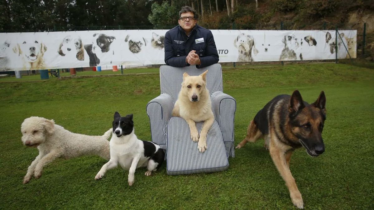 #ENDIRECTO| Nuestro protagonista hoy, en la sección La Voz de las Mascotas, es Octavio Villazala, educador canino y director de Montegatto. ¡Un gusto como siempre escuchar lo que nos cuenta!